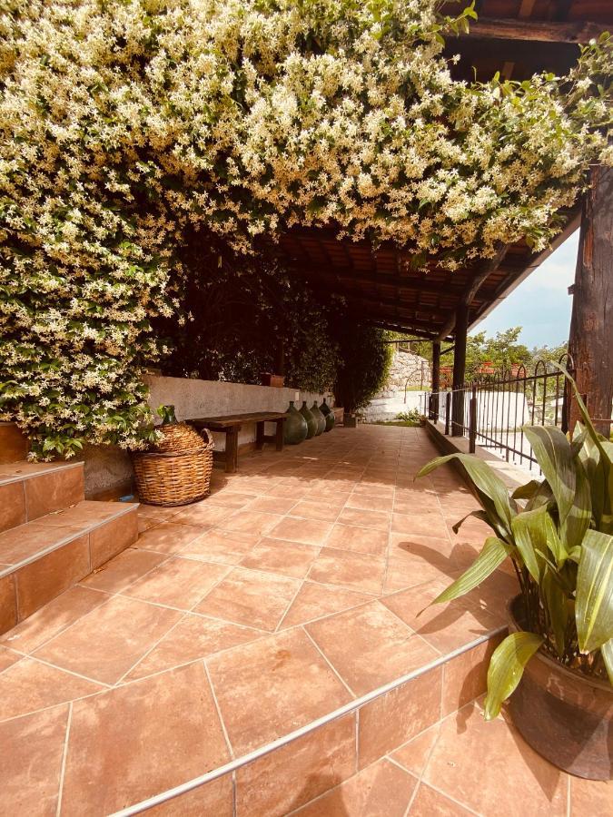 Bed & Breakfast Spigolatrice Sapri Ngoại thất bức ảnh